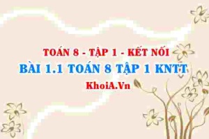 Bài 1.1 SGK Toán 8 tập 1 Kết nối tri thức